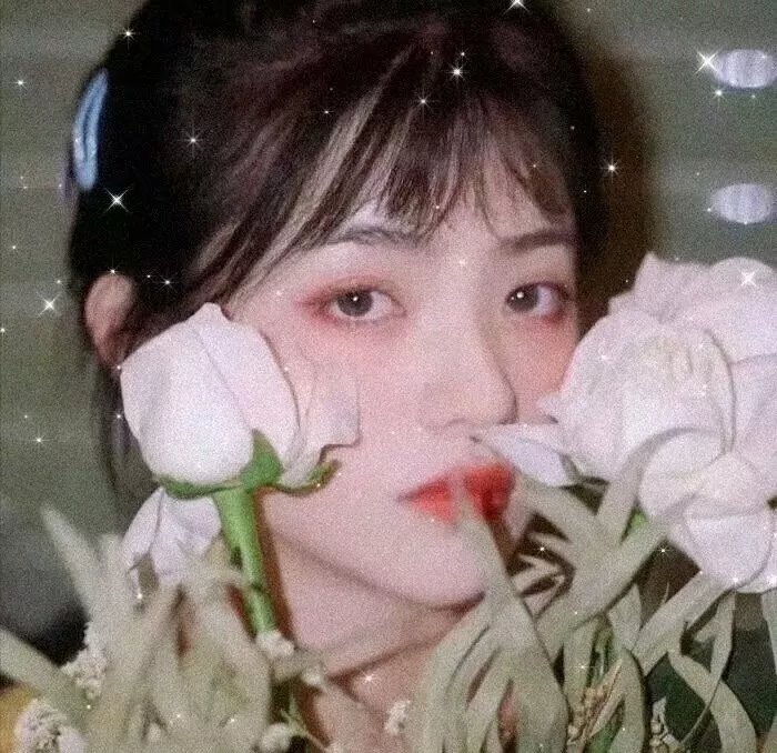 亚历克斯和我